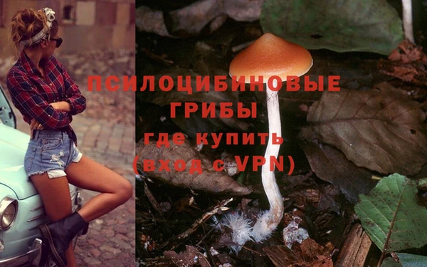 герыч Покачи