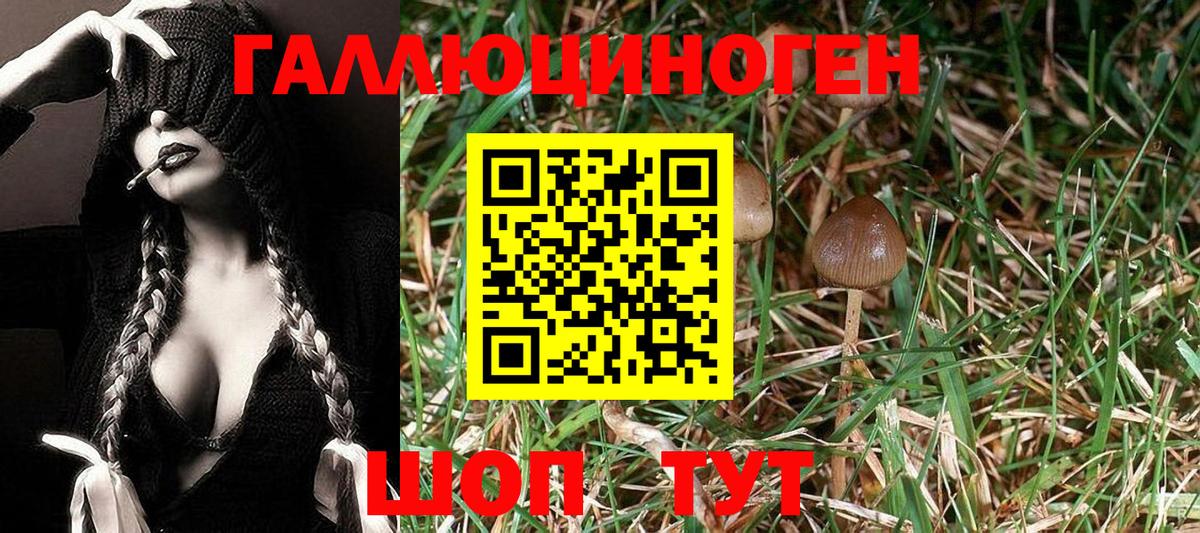 Фролово  как найти наркотики  Вход с VPN  Псилоцибиновые грибы Psilocybe 